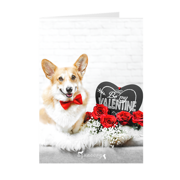 Valentine's Day "Be Mine"  Folded Cards