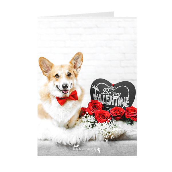 Valentine's Day "Be Mine"  Folded Cards