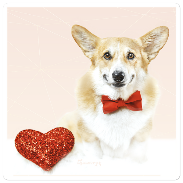 Sweet Corgi Bubble-free stickers