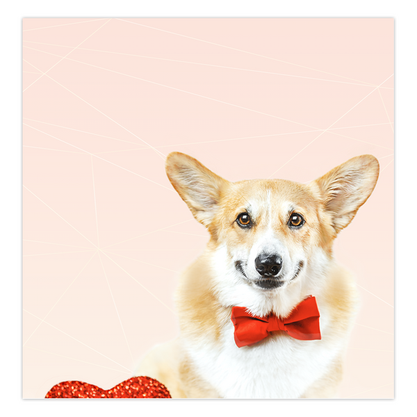 Corgi Valentine's Day Folded Card