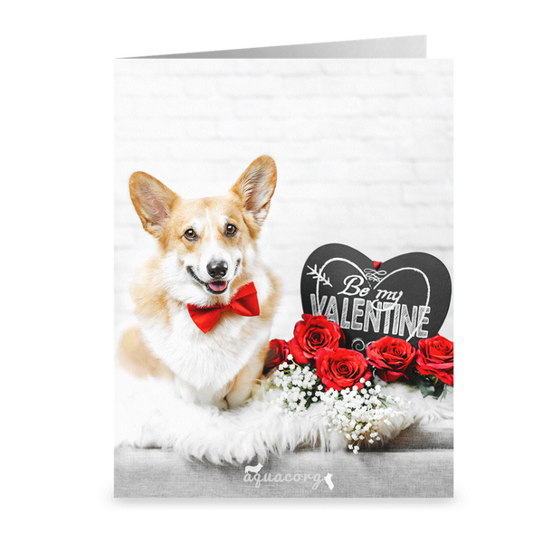 Valentine's Day "Be Mine"  Folded Cards