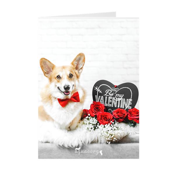 Valentine's Day "Be Mine"  Folded Cards
